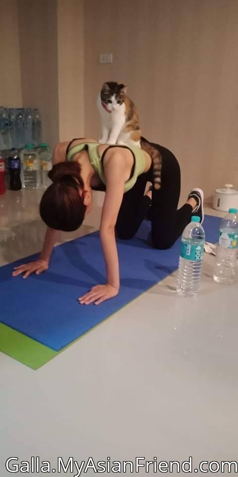 Galla's personal blog photo 1 added Sunday the 13th of February 2022